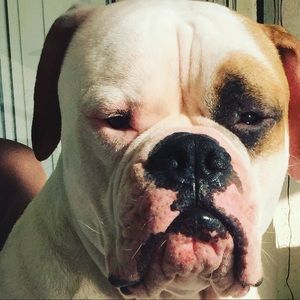 Meet your Posher, Angela